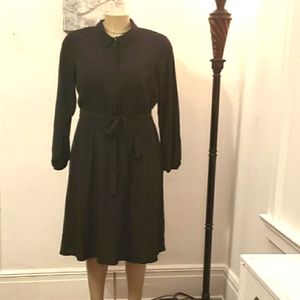 Women's Dress by Lane Bryant